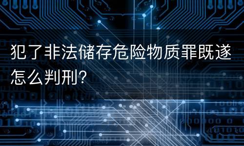 犯了非法储存危险物质罪既遂怎么判刑?