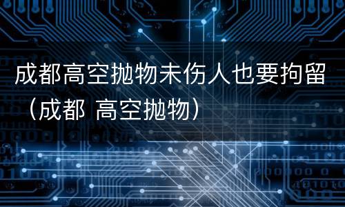 成都高空抛物未伤人也要拘留（成都 高空抛物）
