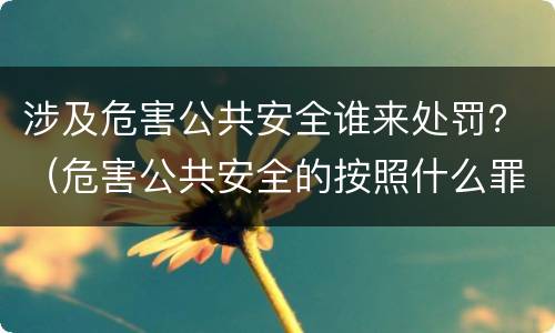 涉及危害公共安全谁来处罚？（危害公共安全的按照什么罪处罚）