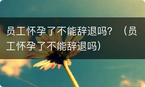 员工怀孕了不能辞退吗？（员工怀孕了不能辞退吗）