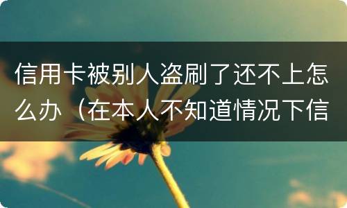 信用卡被别人盗刷了还不上怎么办（在本人不知道情况下信用卡被盗刷怎么办）