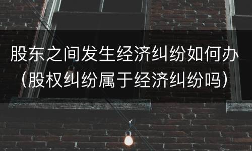 股东之间发生经济纠纷如何办（股权纠纷属于经济纠纷吗）