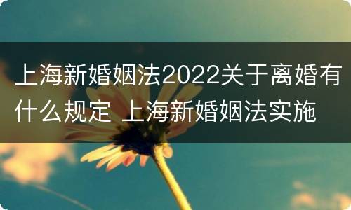 上海新婚姻法2022关于离婚有什么规定 上海新婚姻法实施
