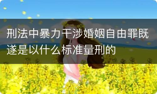 刑法中暴力干涉婚姻自由罪既遂是以什么标准量刑的