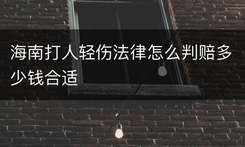 海南打人轻伤法律怎么判赔多少钱合适