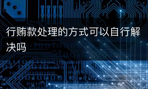 行贿款处理的方式可以自行解决吗