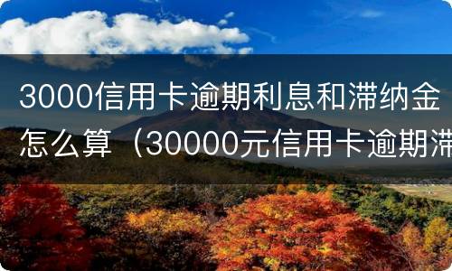 3000信用卡逾期利息和滞纳金怎么算（30000元信用卡逾期滞纳金一天怎么算）