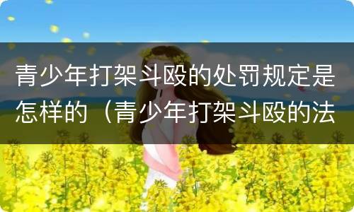 青少年打架斗殴的处罚规定是怎样的（青少年打架斗殴的法律知识）