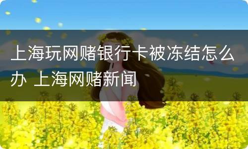上海玩网赌银行卡被冻结怎么办 上海网赌新闻