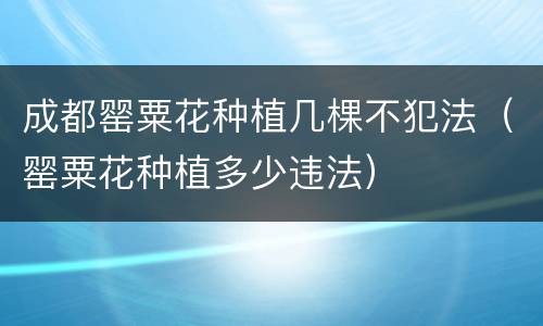 成都罂粟花种植几棵不犯法（罂粟花种植多少违法）