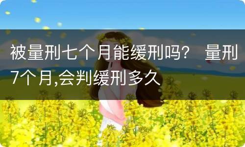 被量刑七个月能缓刑吗？ 量刑7个月,会判缓刑多久