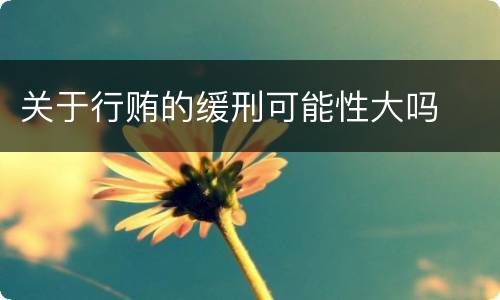 关于行贿的缓刑可能性大吗