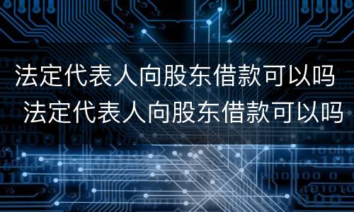 法定代表人向股东借款可以吗 法定代表人向股东借款可以吗