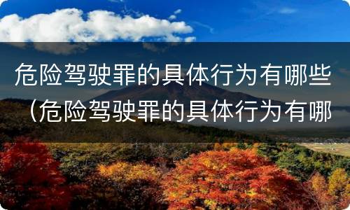 危险驾驶罪的具体行为有哪些（危险驾驶罪的具体行为有哪些类型）