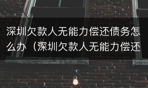 深圳欠款人无能力偿还债务怎么办（深圳欠款人无能力偿还债务怎么办手续）