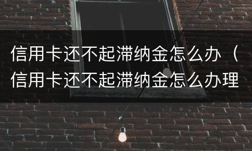 信用卡还不起滞纳金怎么办（信用卡还不起滞纳金怎么办理）