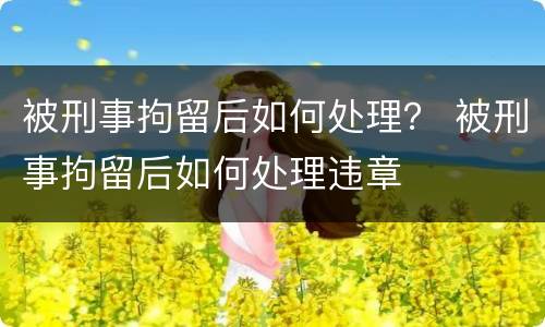 被刑事拘留后如何处理？ 被刑事拘留后如何处理违章