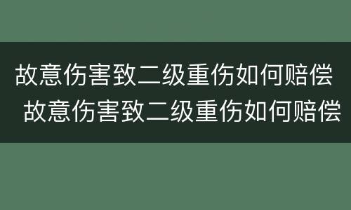 故意伤害致二级重伤如何赔偿 故意伤害致二级重伤如何赔偿标准