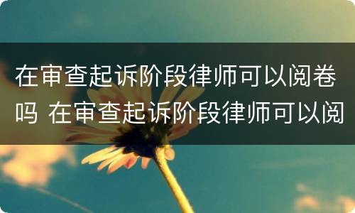 在审查起诉阶段律师可以阅卷吗 在审查起诉阶段律师可以阅卷吗怎么写