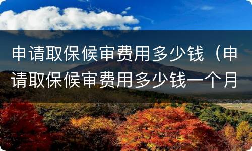 申请取保候审费用多少钱（申请取保候审费用多少钱一个月）