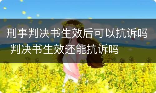 刑事判决书生效后可以抗诉吗 判决书生效还能抗诉吗