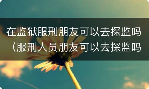 在监狱服刑朋友可以去探监吗（服刑人员朋友可以去探监吗）