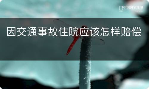 因交通事故住院应该怎样赔偿