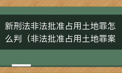 新刑法非法批准占用土地罪怎么判（非法批准占用土地罪案例）