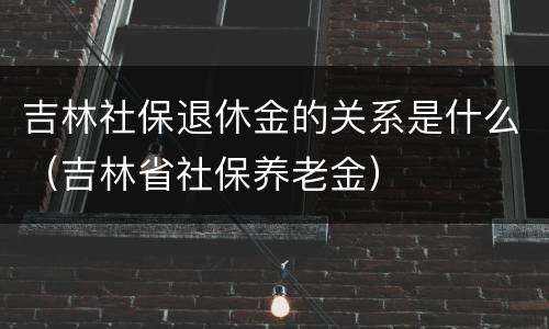 吉林社保退休金的关系是什么（吉林省社保养老金）
