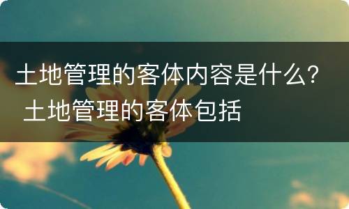 土地管理的客体内容是什么？ 土地管理的客体包括