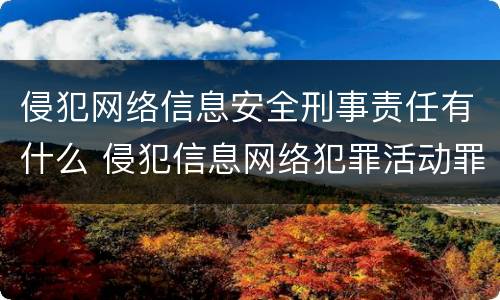 侵犯网络信息安全刑事责任有什么 侵犯信息网络犯罪活动罪