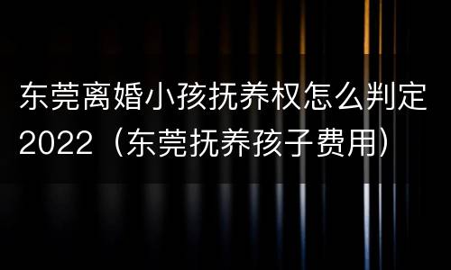 东莞离婚小孩抚养权怎么判定2022（东莞抚养孩子费用）