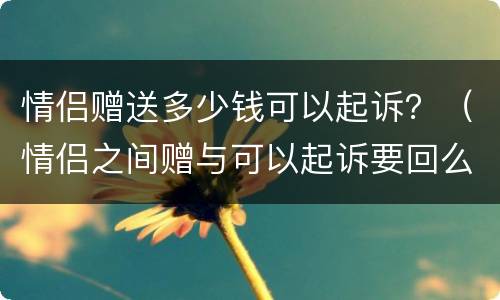 情侣赠送多少钱可以起诉？（情侣之间赠与可以起诉要回么）