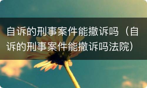 自诉的刑事案件能撤诉吗（自诉的刑事案件能撤诉吗法院）