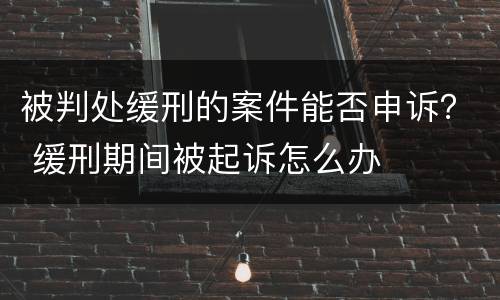 被判处缓刑的案件能否申诉？ 缓刑期间被起诉怎么办
