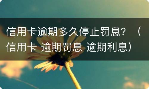 信用卡逾期多久停止罚息？（信用卡 逾期罚息 逾期利息）