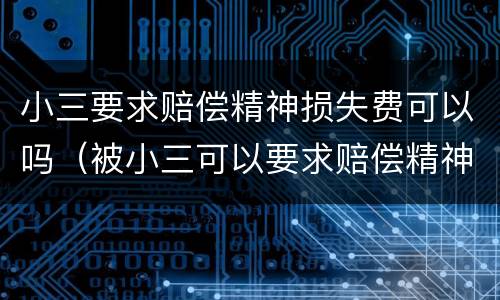 小三要求赔偿精神损失费可以吗（被小三可以要求赔偿精神损失吗）