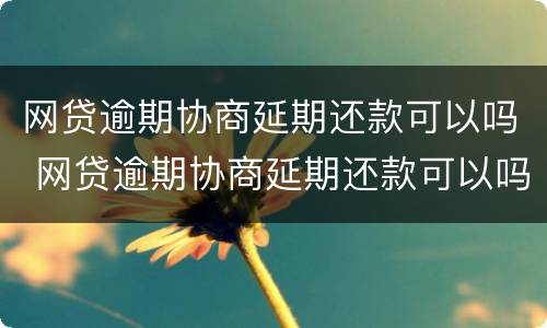 网贷逾期协商延期还款可以吗 网贷逾期协商延期还款可以吗