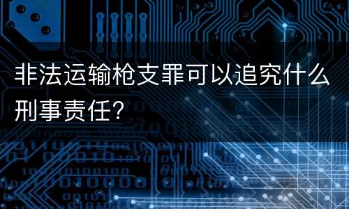 非法运输枪支罪可以追究什么刑事责任?