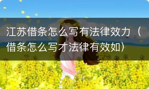 江苏借条怎么写有法律效力（借条怎么写才法律有效如）