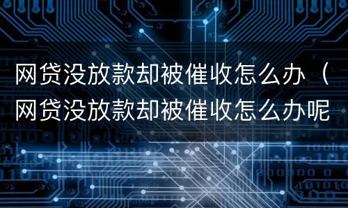 网贷没放款却被催收怎么办（网贷没放款却被催收怎么办呢）