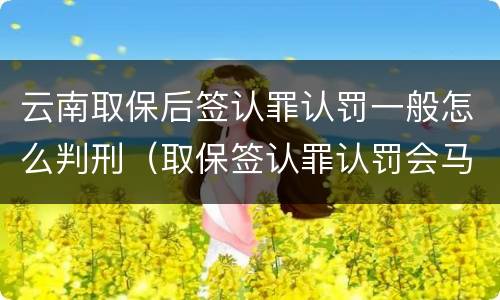 云南取保后签认罪认罚一般怎么判刑（取保签认罪认罚会马上逮捕吗）