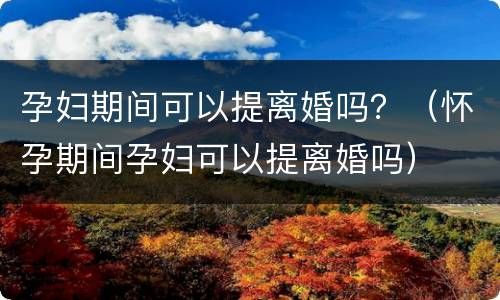 孕妇期间可以提离婚吗？（怀孕期间孕妇可以提离婚吗）