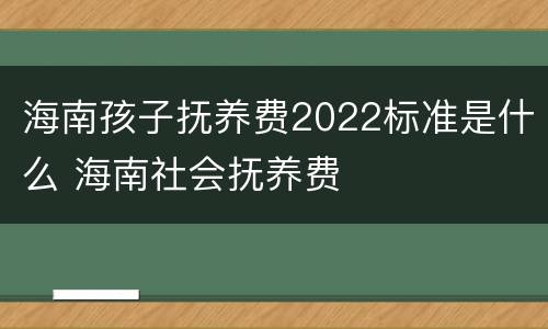 海南孩子抚养费2022标准是什么 海南社会抚养费