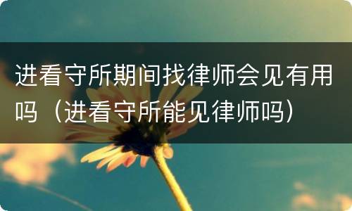 进看守所期间找律师会见有用吗（进看守所能见律师吗）
