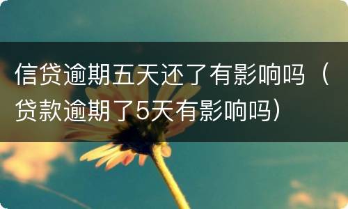 信贷逾期五天还了有影响吗（贷款逾期了5天有影响吗）