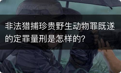 非法猎捕珍贵野生动物罪既遂的定罪量刑是怎样的？