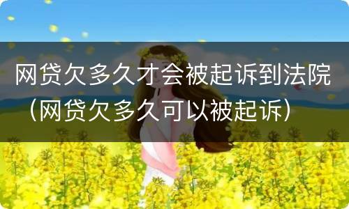 网贷欠多久才会被起诉到法院（网贷欠多久可以被起诉）