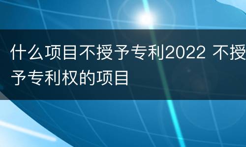 什么项目不授予专利2022 不授予专利权的项目