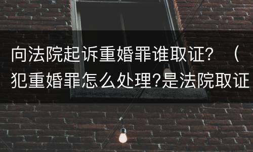 向法院起诉重婚罪谁取证？（犯重婚罪怎么处理?是法院取证吗?）